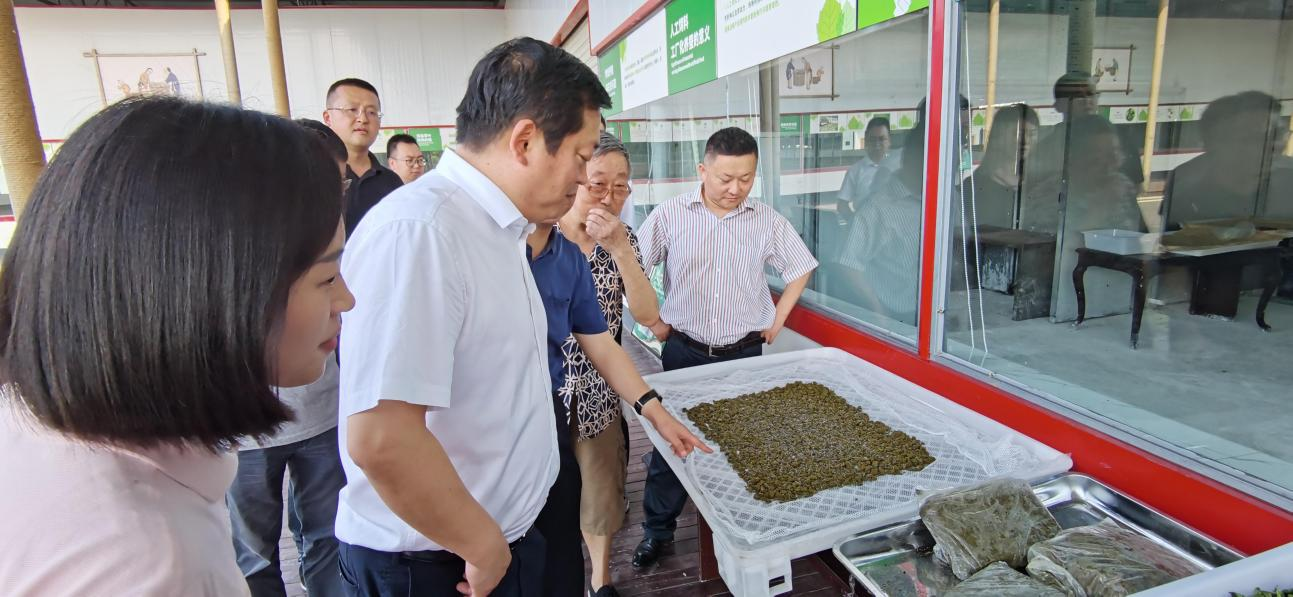 省尊龙凯时集团党委副书记、董事陈日赴嘉陵区调研茶桑产业发展情况